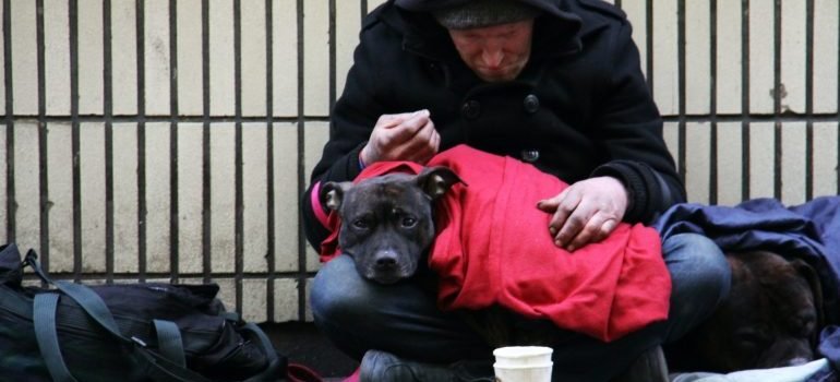 Faktori koji utiču na razvoj hroničnih bolesti uključuju siromaštvo, a pod njim je i ova osoba koja sedi na ulici i skuplja novac u prisustvu svog psa