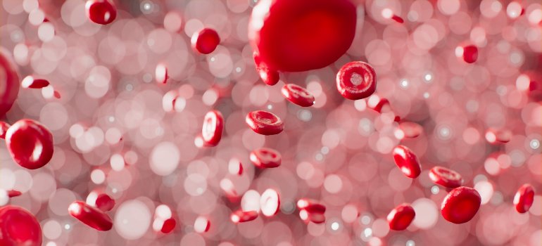 Ilustracija crvenih krvnih zrnaca.
