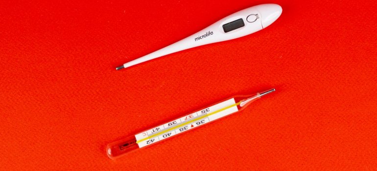 Toplomeri, jedan digitalni, drugi sa živom