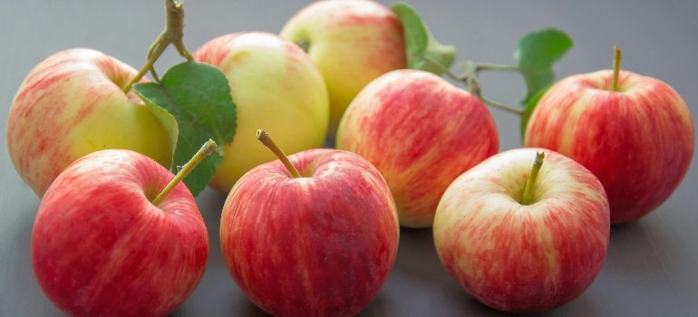 carbohydrates- apples on a grey surface
