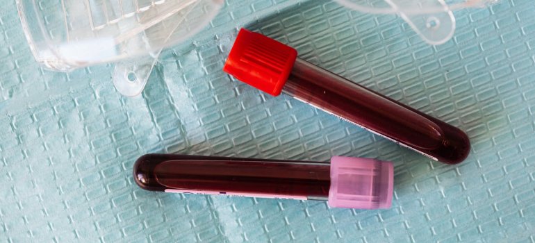 Две пробирки с кровью, которые будут проанализированы для выявления наличия тяжёлых металлов в организме.