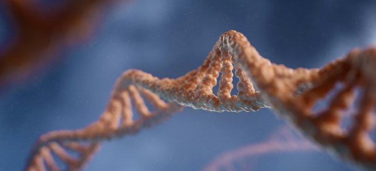 3D иллюстрация цепи ДНК