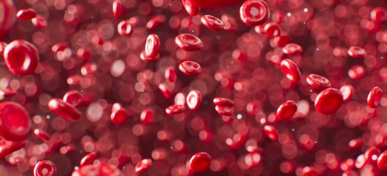 Красные кровяные тельца